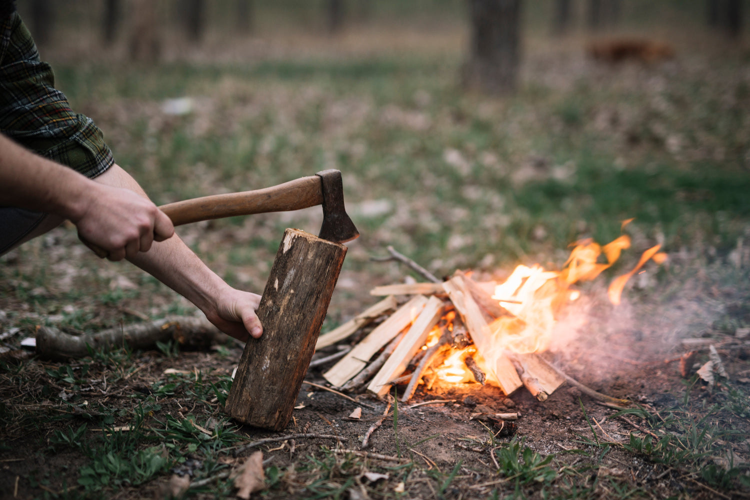 Bushcraft & Survival